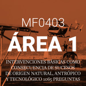 TEST MF0403 ÁREA 1