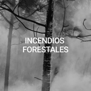 Incendios forestales
