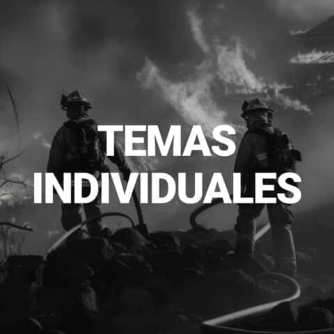 Temas individuales